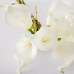 Calla Lily Bunch -Interior Sales Store 1050492 u 1