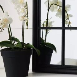 Martinique Curved Mirror -Interior Sales Store 1090093 C