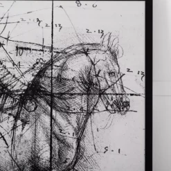 Pegasus Print 112x112 -Interior Sales Store 1117257201 c