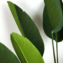 Potted Plant Palm -Interior Sales Store 1117258241 C