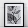 Silver Leaf II Print 42x53