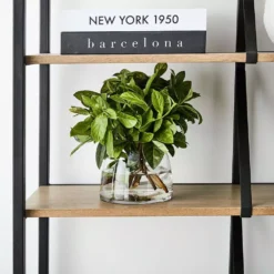 Catalina Shelf -Interior Sales Store 1117259196 C