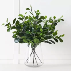 Citrus Leaf Foliage -Interior Sales Store 1117259478 A