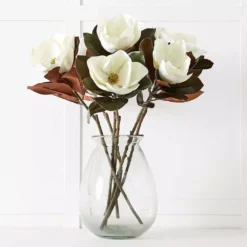 Magnolia Flower 6 Magnolia Flower -Interior Sales Store 1117259553 A