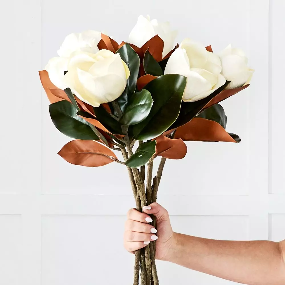 Magnolia Flower 2 Magnolia Flower - Image 2