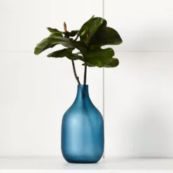 Fig Leaf Stem -Interior Sales Store 1117260066 A