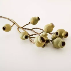 Gumnut Stem -Interior Sales Store 1117260067 C