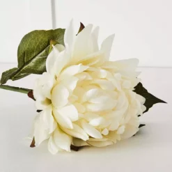 Dahlia Flower -Interior Sales Store 1117260240 c