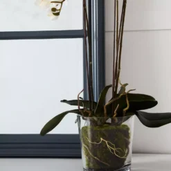 Martinique Mirror -Interior Sales Store 1117260824 c