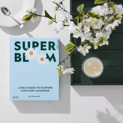 Super Bloom -Interior Sales Store 1117261726 e